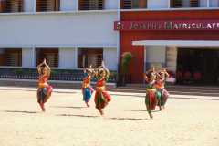 DSC02214